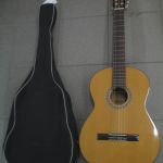 519 1120 Gitarr